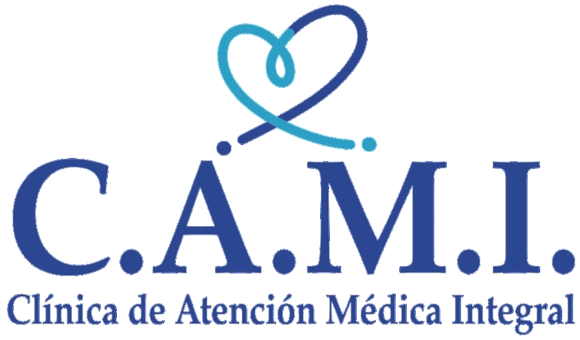 Logo CAMI